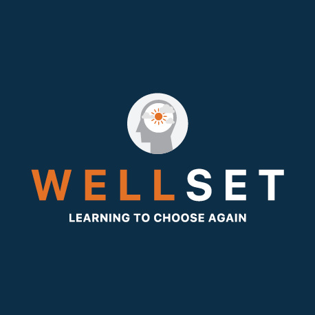 Wellset Sme L&D Ltd logo